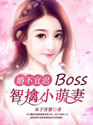 婚不宜迟:Boss智擒小萌妻