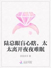 陆总眼盲心瞎,太太离开夜夜难眠