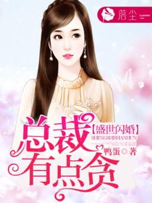 盛世闪婚:总裁有点贪