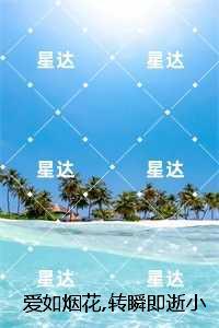 爱如烟花转瞬即逝小说全文：结局+番外