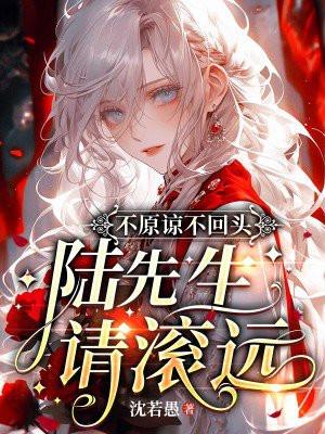 不原谅不回头,陆先生请滚远